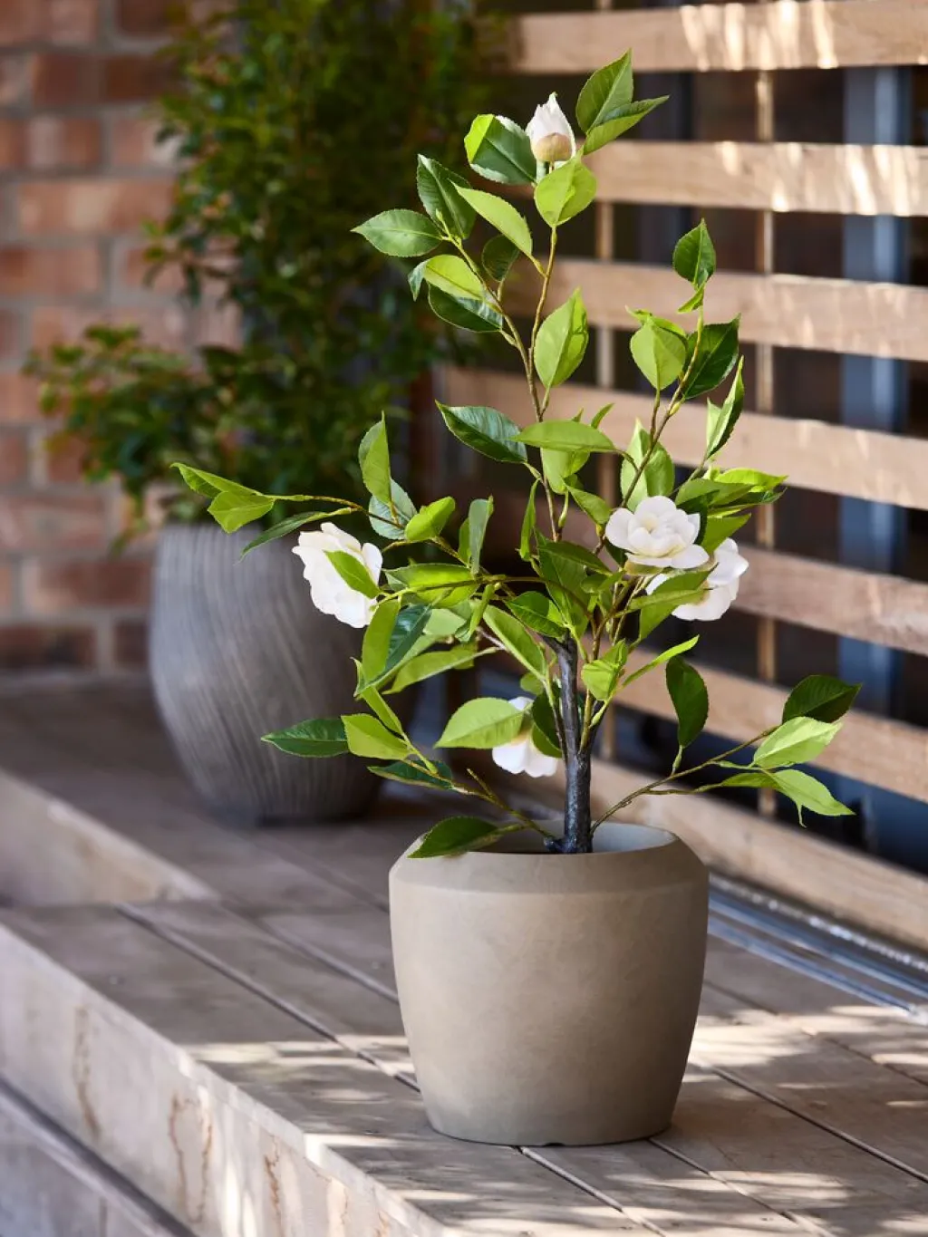 Plantas Artificiales Exterior>JYSK SOLOPGANGPlanta artificial SOLOPGANG A80 rosal blanco