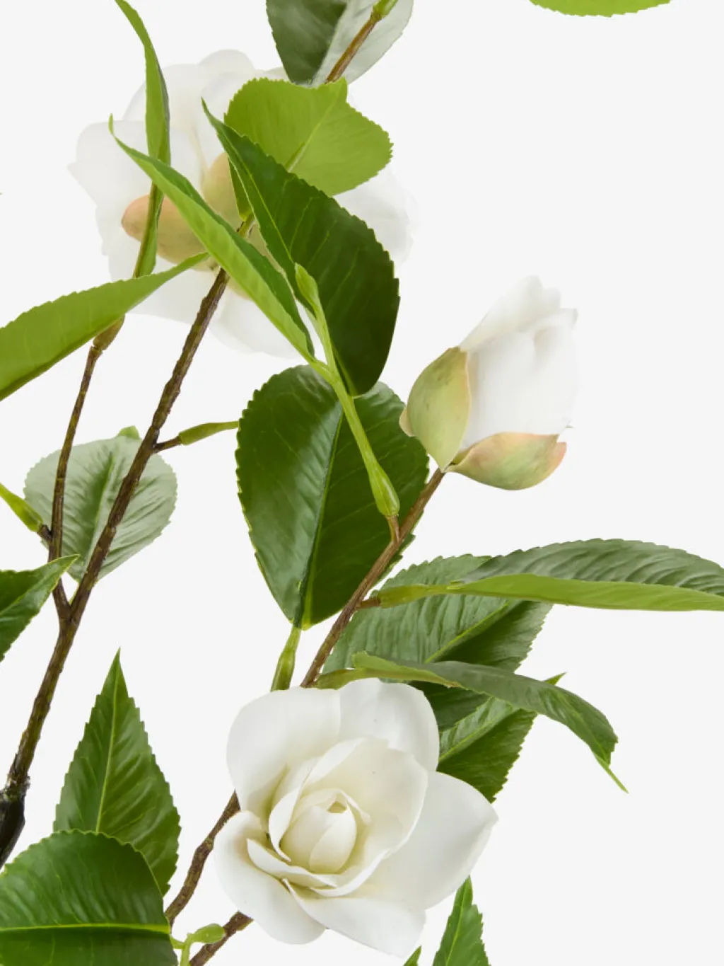 Plantas Artificiales Exterior>JYSK SOLOPGANGPlanta artificial SOLOPGANG A80 rosal blanco