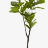Plantas Artificiales Exterior>JYSK SPINDELPlanta artificial SPINDEL A120cm verde/blanco magnolia