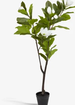 Plantas Artificiales Exterior>JYSK SPINDELPlanta artificial SPINDEL A120cm verde/blanco magnolia