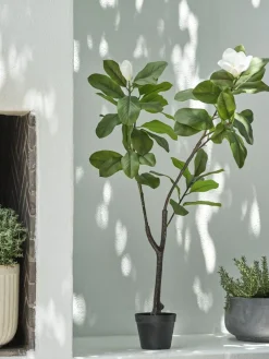 Plantas Artificiales Exterior>JYSK SPINDELPlanta artificial SPINDEL A120cm verde/blanco magnolia