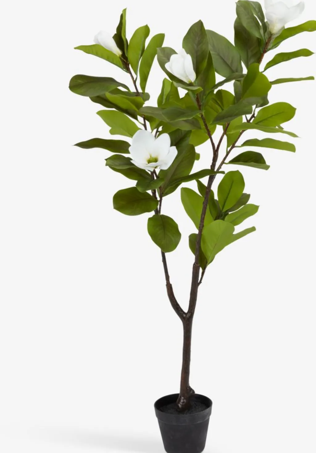 Plantas Artificiales Exterior>JYSK SPINDELPlanta artificial SPINDEL A120cm verde/blanco magnolia