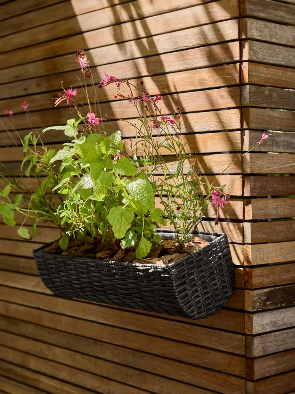 Maceteros>JYSK STEINTROSTJardinera para balcón STEINTROST A18xL50xA16 negro