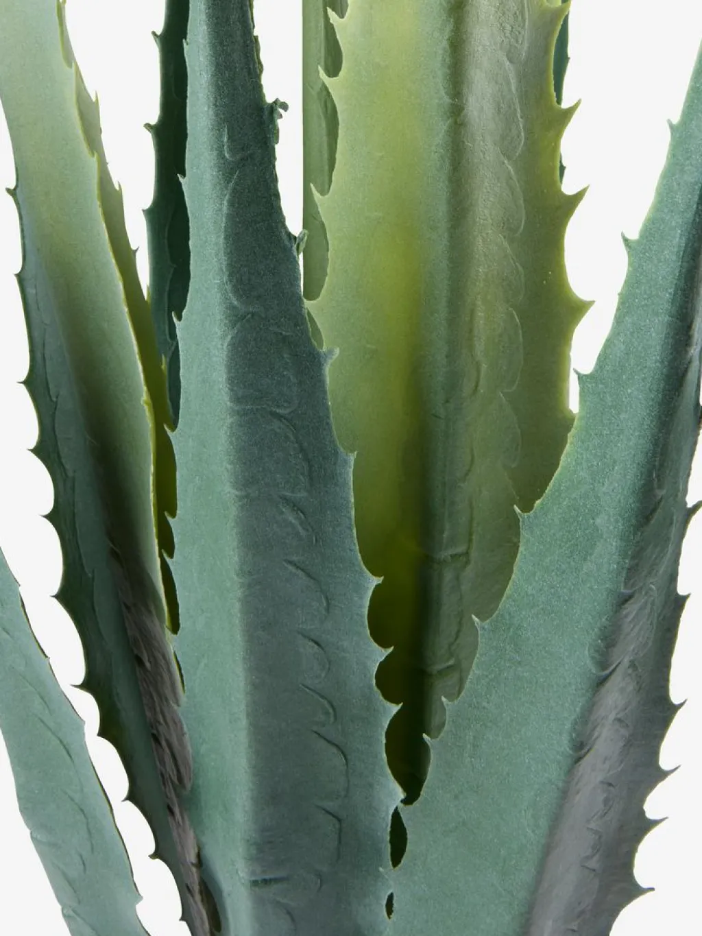 Plantas Artificiales Exterior>JYSK TOPPMEISPlanta artificial TOPPMEIS A105cm agave