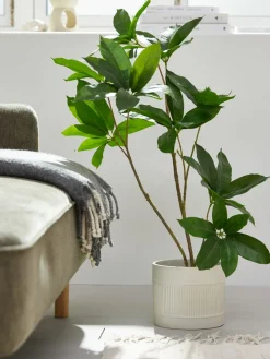Plantas Artificiales><noscript><img width=
